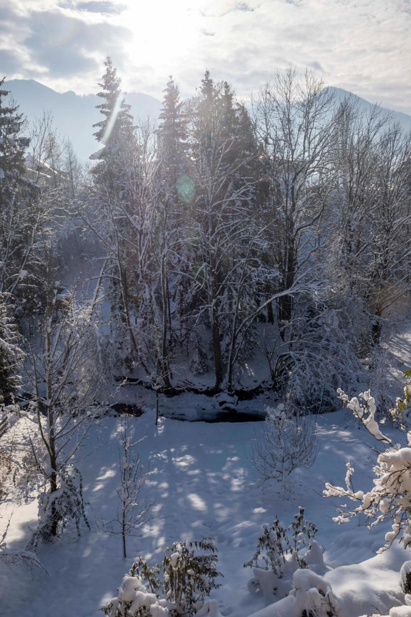 Servus Almtal Scharnstein ภายนอก รูปภาพ